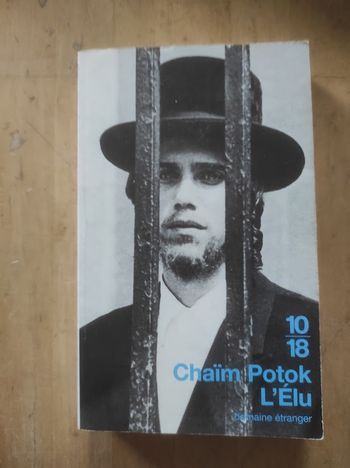 L'Elu Chaïm Potok 10/18 Domaine Etranger 1999