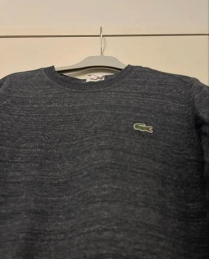 Pull Lacoste (Peut etre pas auth) - photo numéro 4
