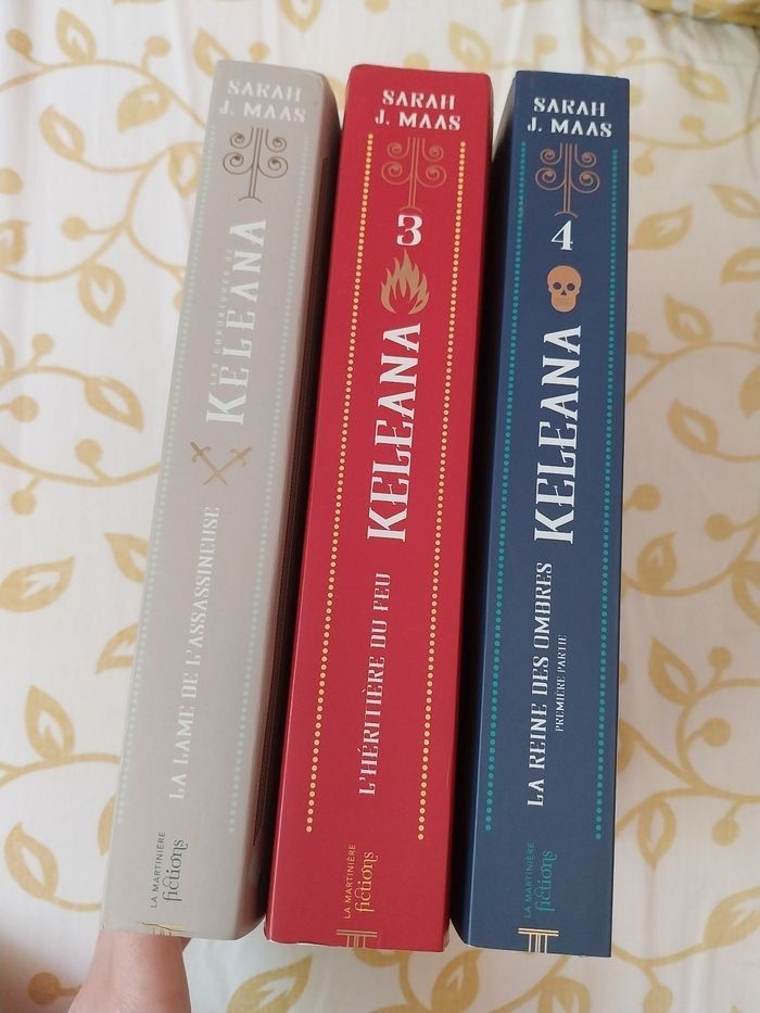 Romans Keleana tomes 1 + 3 + 4 Partie 1 La Reine des Ombres + Préquel 0.5- Sarah J. Maas La Martinière - photo numéro 8
