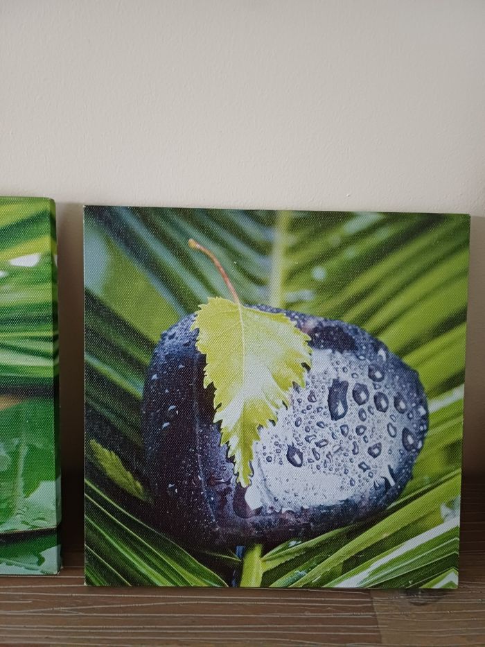 Cadres - photo numéro 4