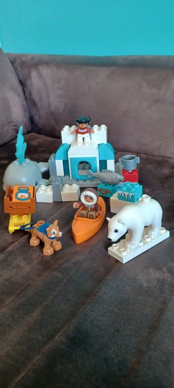 Duplo 10803

Les animaux de l'Arctique