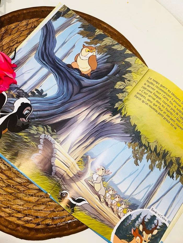 Livre disney - photo numéro 3