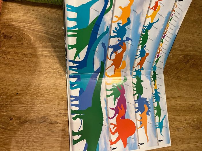 Livre sur les dinosaures 🦖 - photo numéro 5