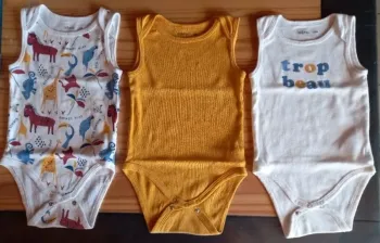Lot 3 bodies 18 mois bon état