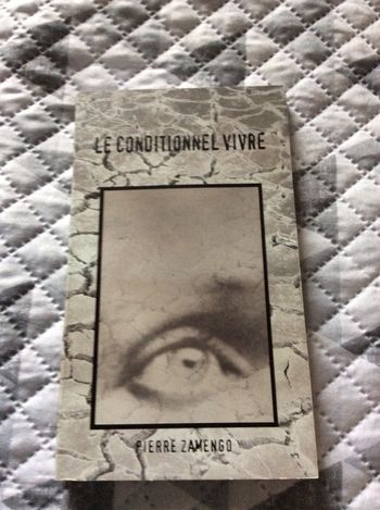 #le conditionnel par Pierre Zamengo