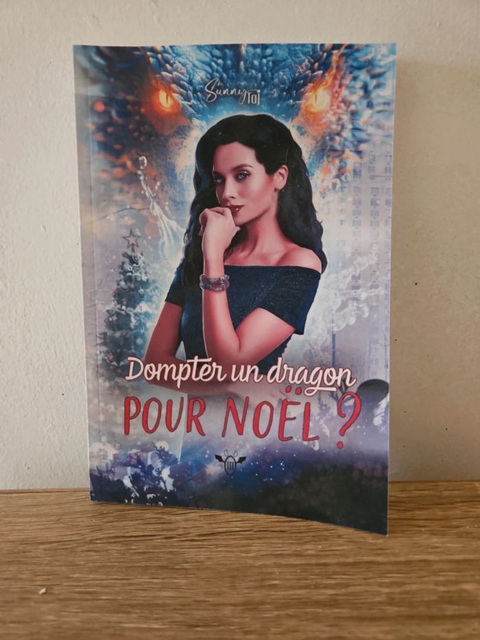 Dompter un Dragon pour Noël ?