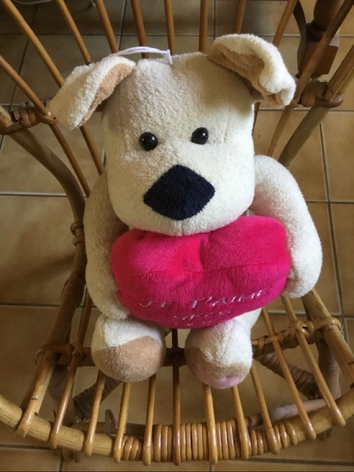 peluche - photo numéro 5