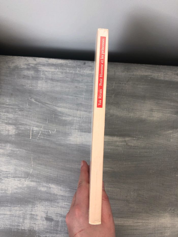 Livre enfants "Petit Homme et les princesses" - photo numéro 2