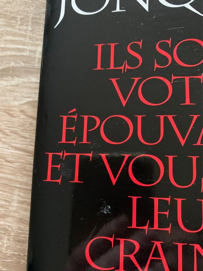 Ils sont votre épouvante et vous êtes leur crainte - photo numéro 4