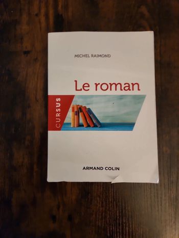 Livre : Le roman / Cursus