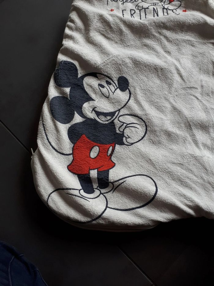 Gigoteuse 0-6 mois Disney Baby - photo numéro 2