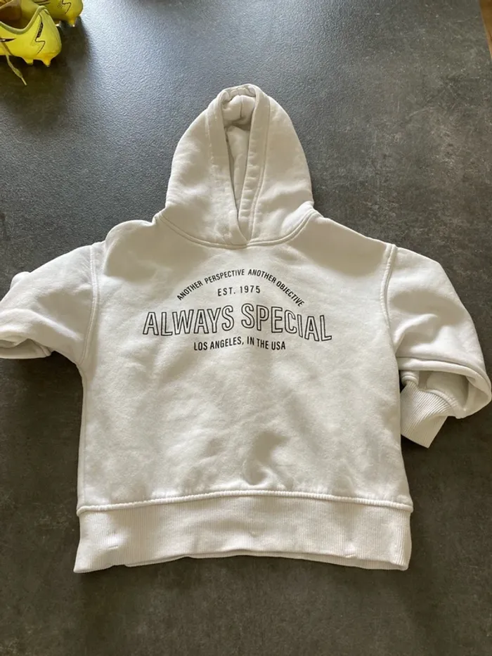 Pull capuche fille Zara 6 ans
