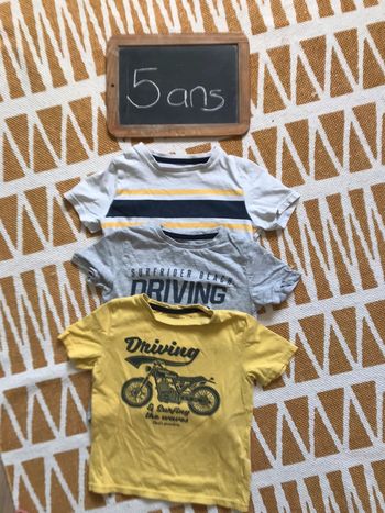 Lot 3 t-shirt Vertbaudet