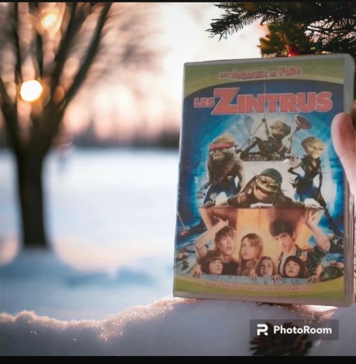 DVD les zintrus💿