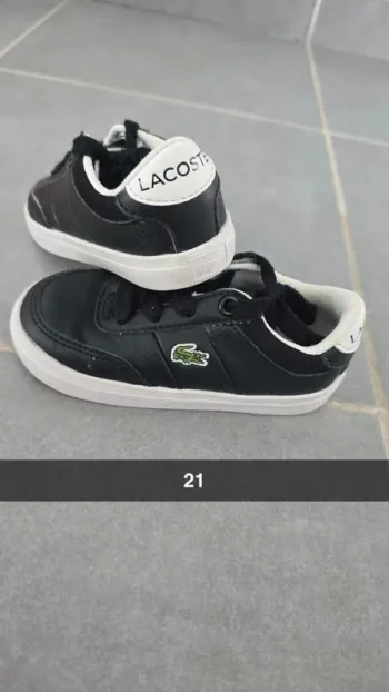 Basket lacoste