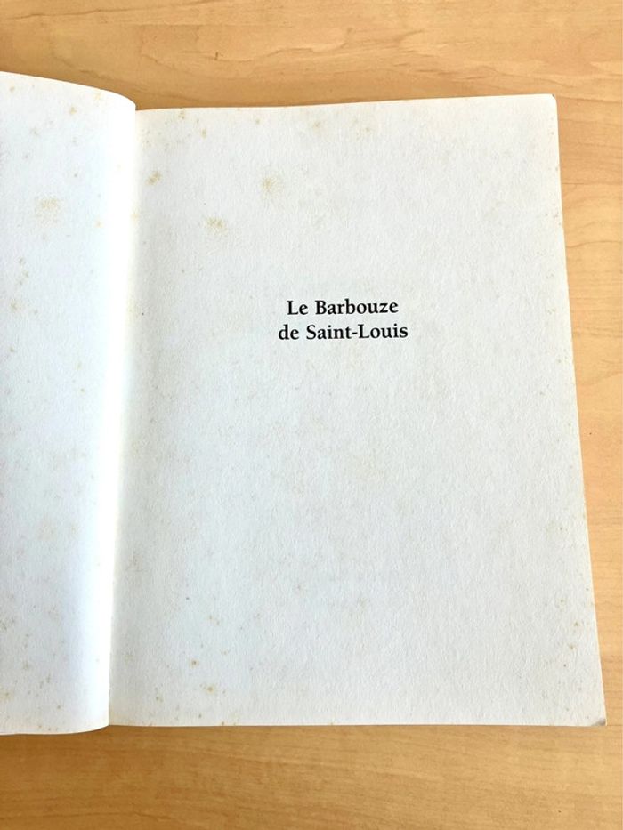 Le barbouze de Saint-Louis de Mireille Autran - photo numéro 4