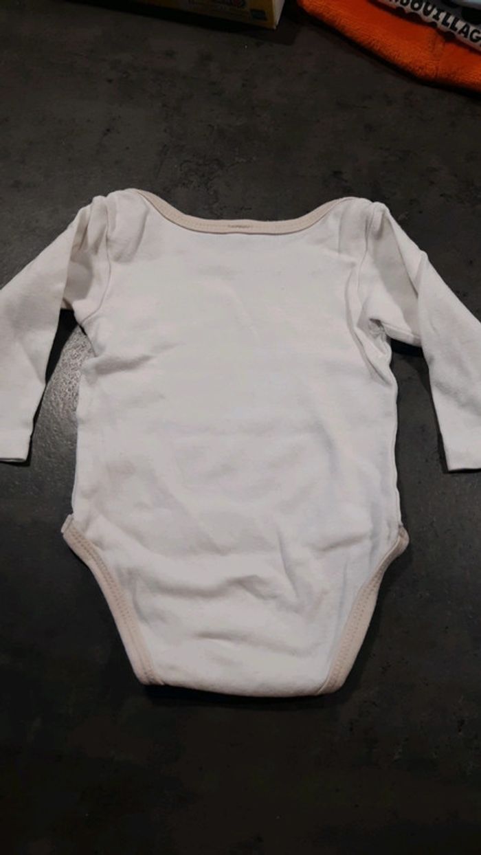 Bodie 6 mois - photo numéro 3