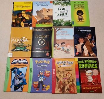 Lot de 23 livres + cadeau 🎁 