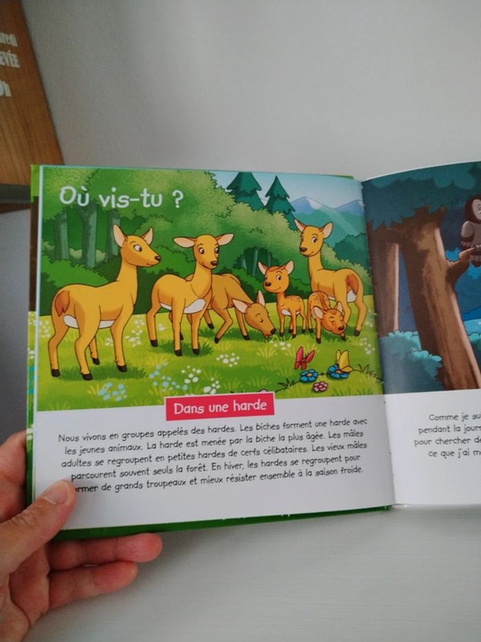 Altaya Les animaux de la forêt n°1 Le cerf - photo numéro 6