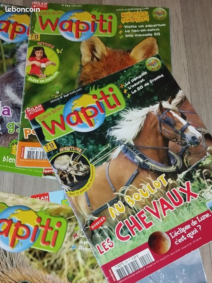 Lot de 7 magazines Wapiti année 2007-08 L023 - photo numéro 9