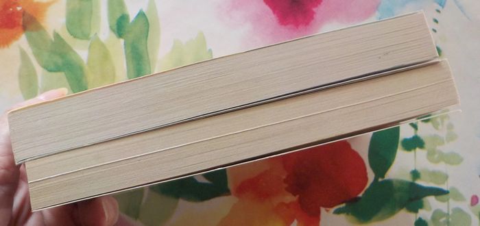 2 Harlequin Horizon - photo numéro 4