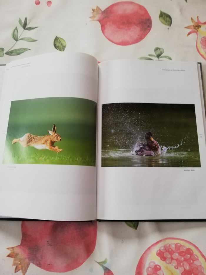2 livres de chasse - photo numéro 4