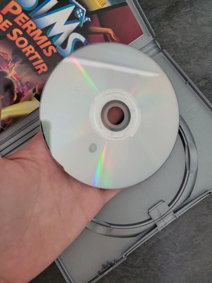 Jeu vidéo PlayStation 2 les simples permis de sortir - photo numéro 4