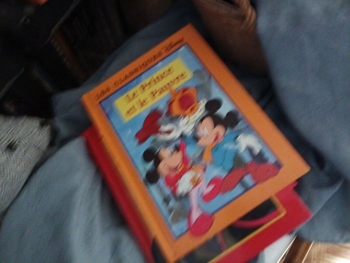 Walt Disney livre enfant - photo numéro 4