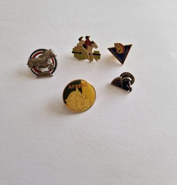 Lot 5 Pin's Pins Vintage Équitation Cheval Poney AFASEC