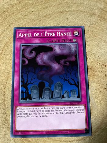 Carte Yu-Gi-Oh! : Appel de l’être hanté - LDK2-FRJ37