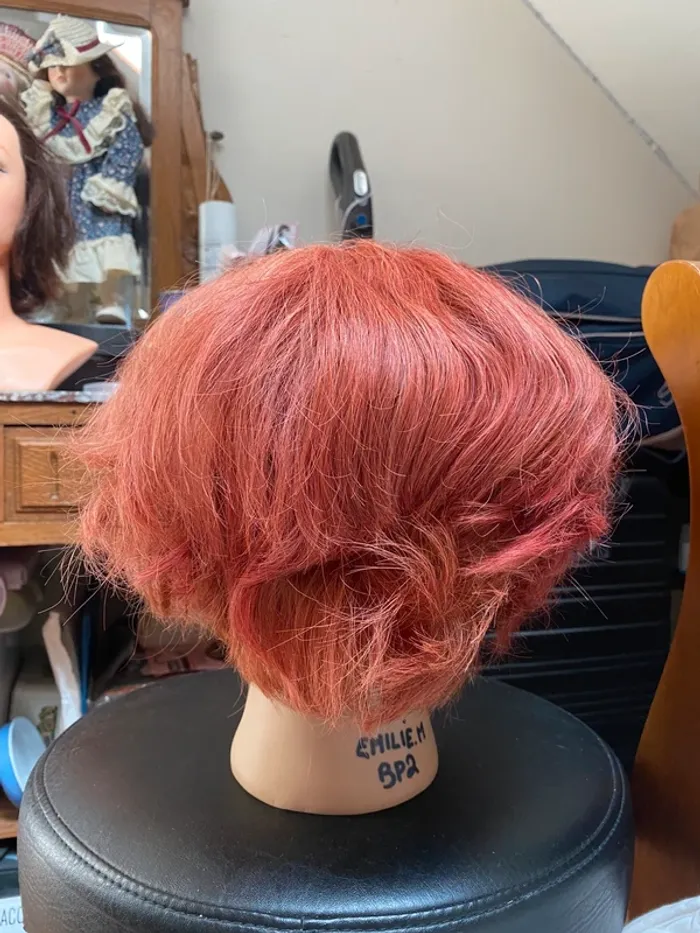 Tete coiffure coloré entraînement - photo numéro 2