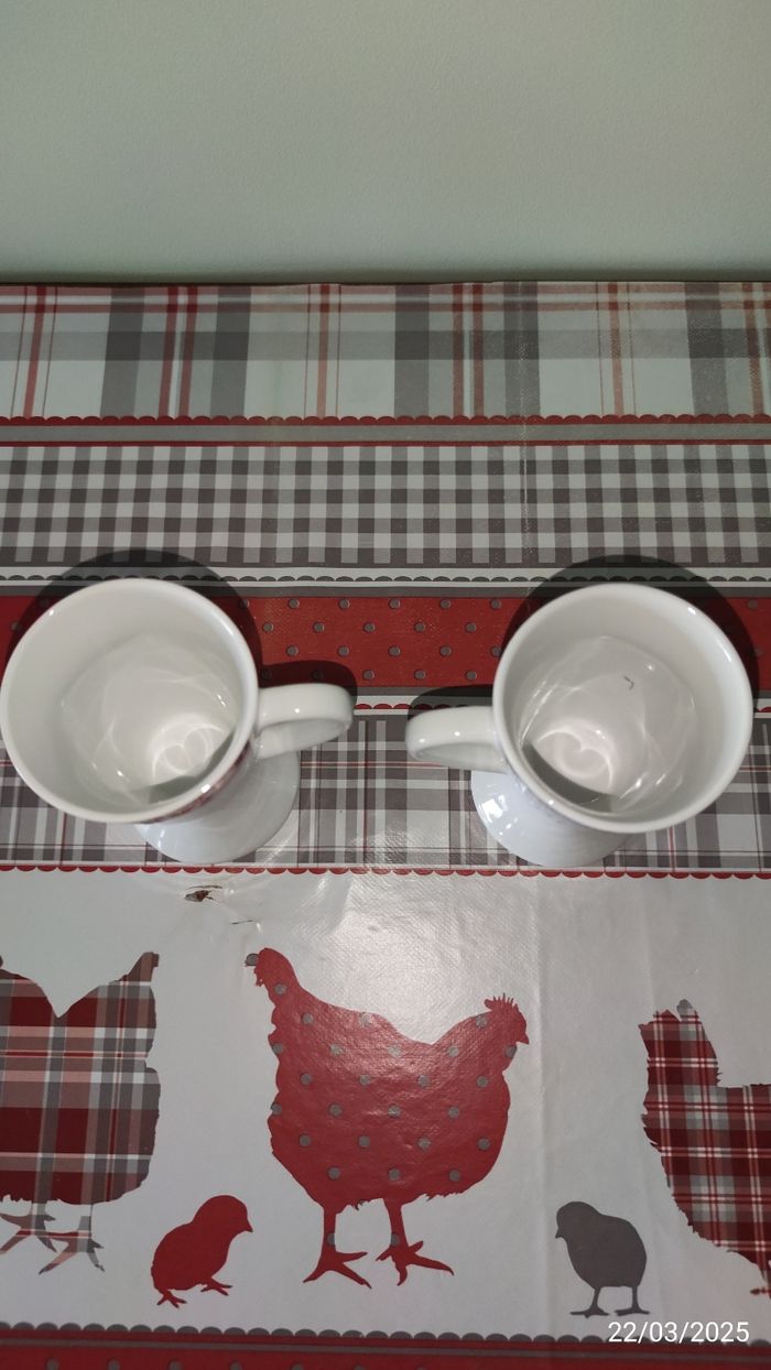 2 tasses mazagran - photo numéro 4
