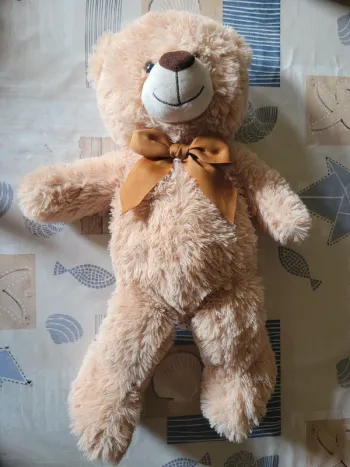 Ours en peluche