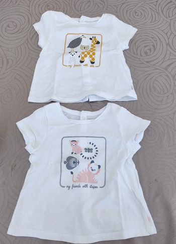 Lot Tee-shirt OBAIBI 6 mois, pressions dos
