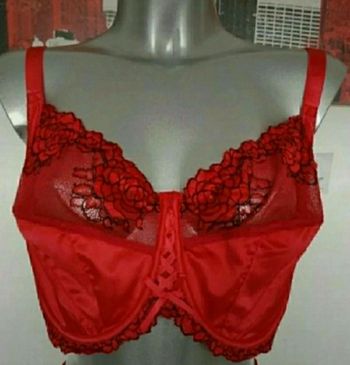 Soutien gorge Rougegorge 95/F