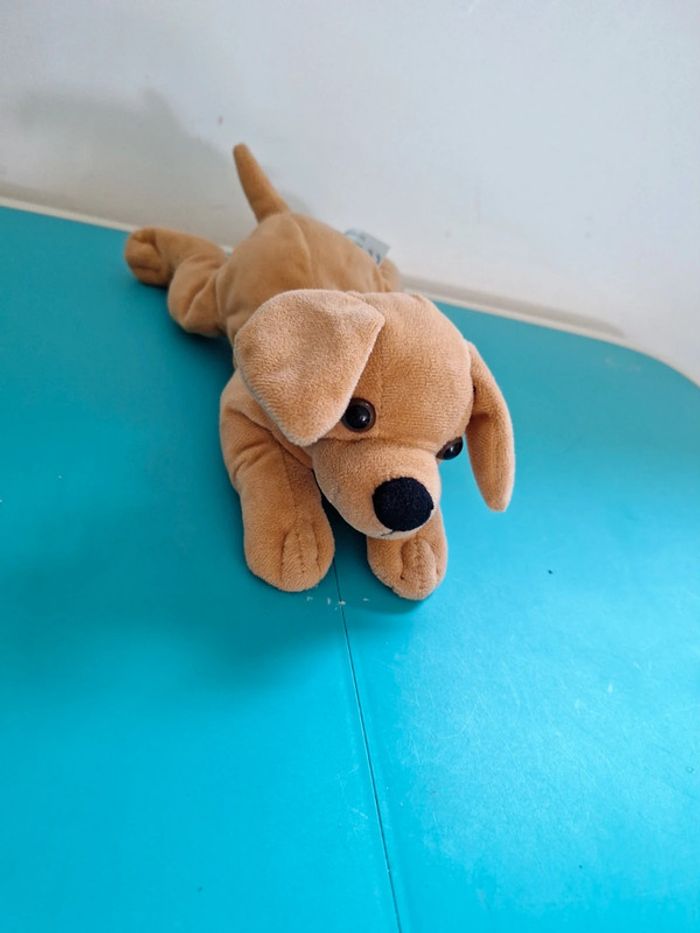 Chien neuf