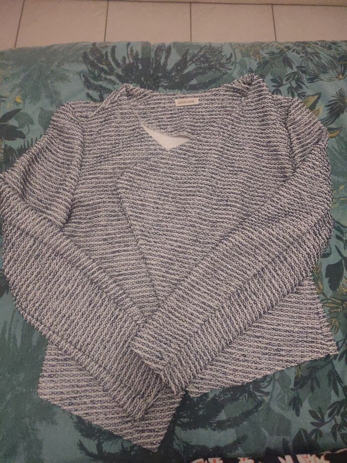 Blazer - photo numéro 2