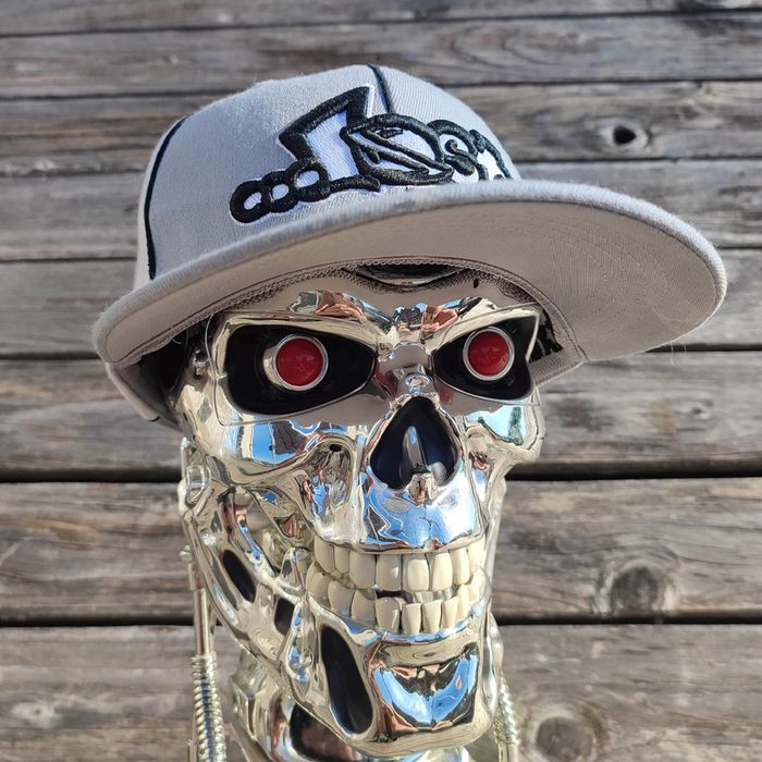 Casquette flexfit Lost vintage surf skate de 2005