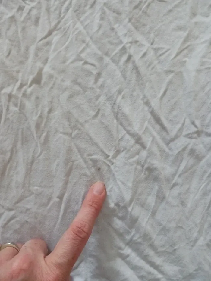 Tee-shirt - photo numéro 4