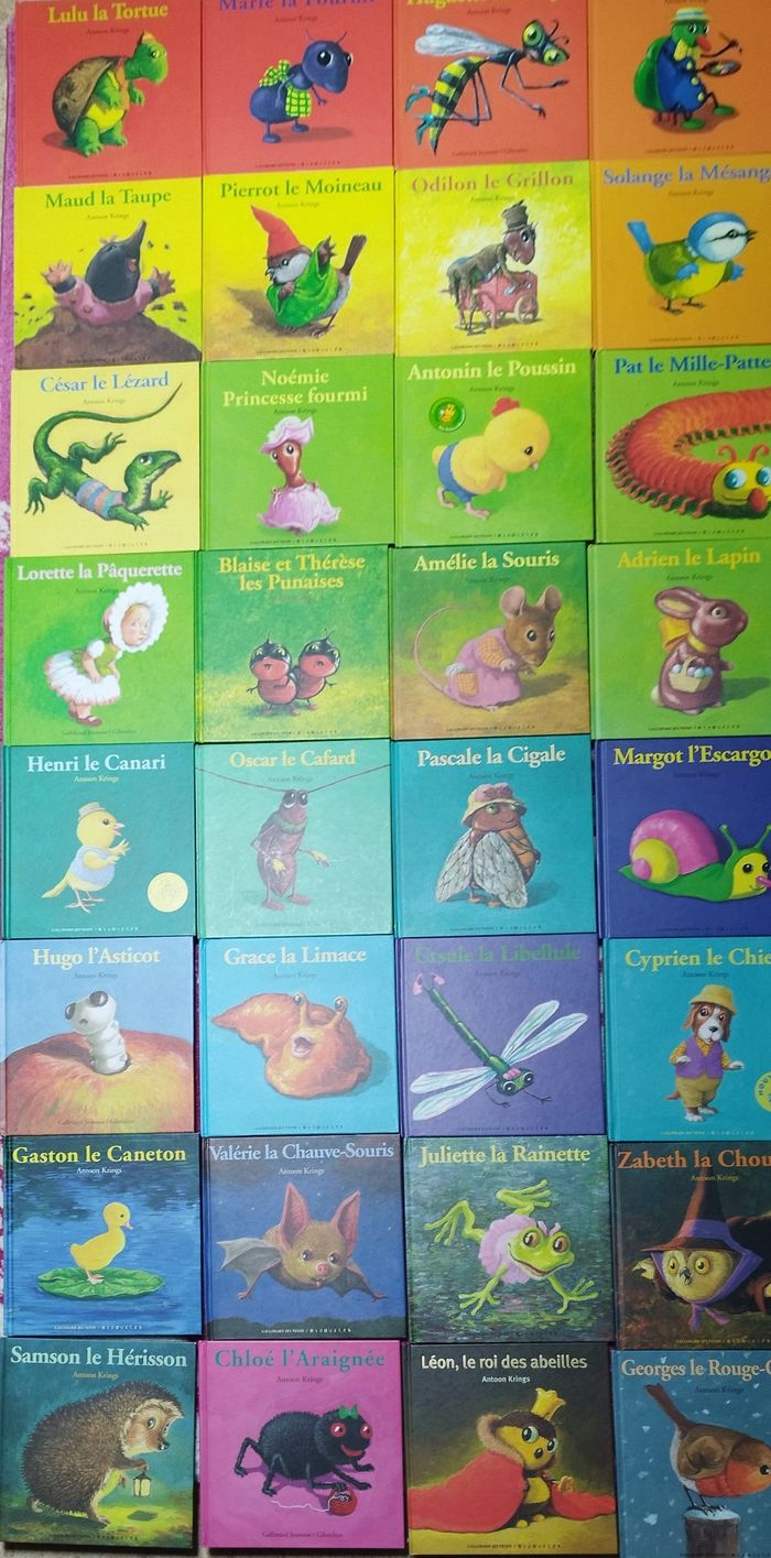 Livre enfant Drôles de petites bêtes