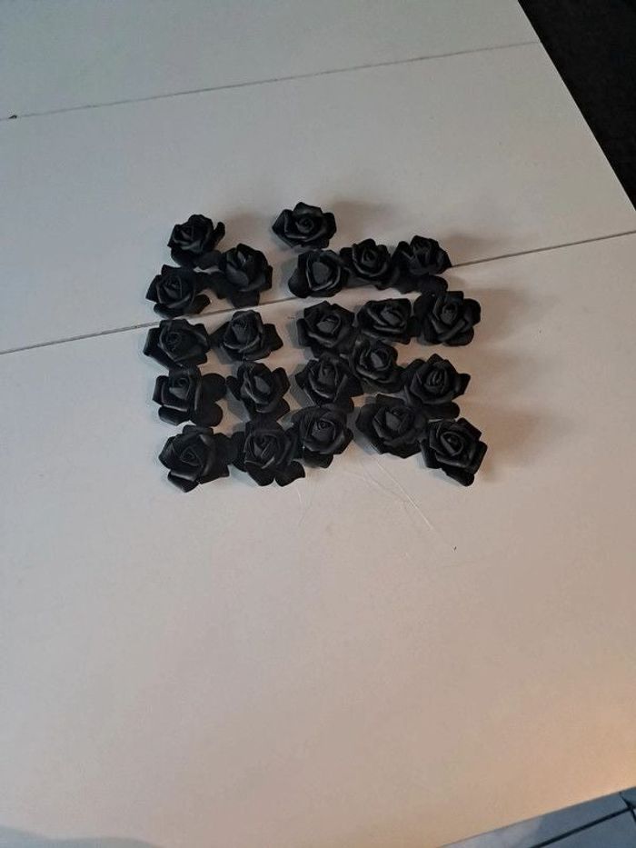 Roses