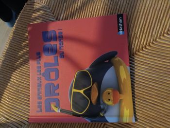 Les animaux les plus drôle du monde