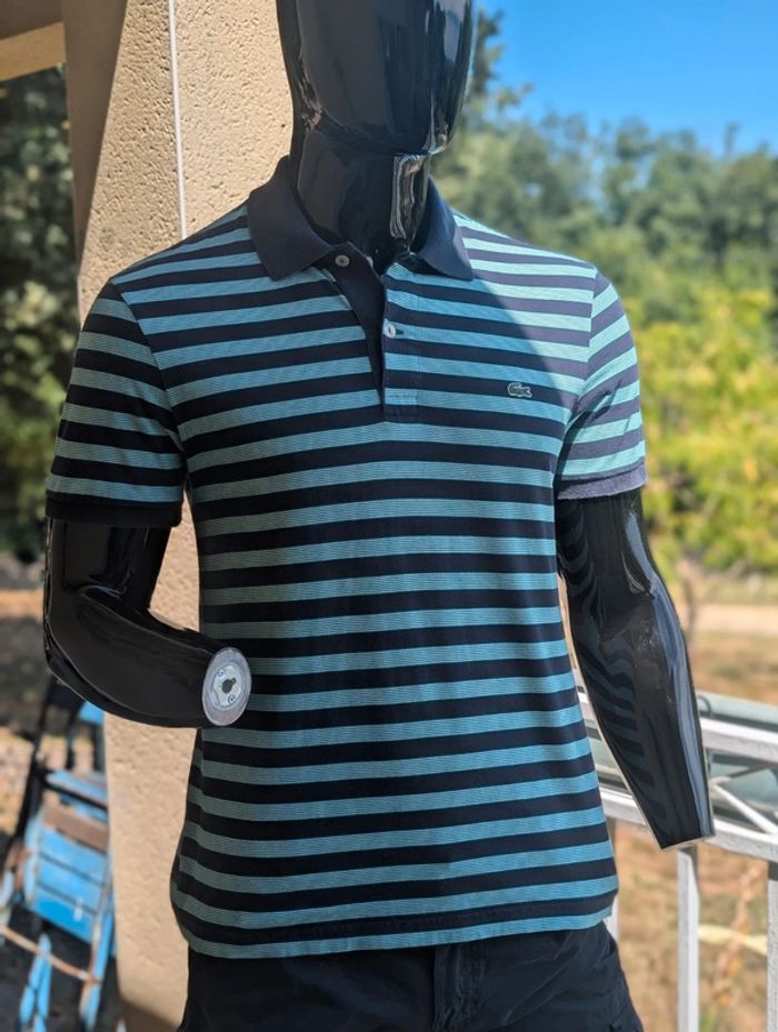 Polo Lacoste Taille 4 (M)