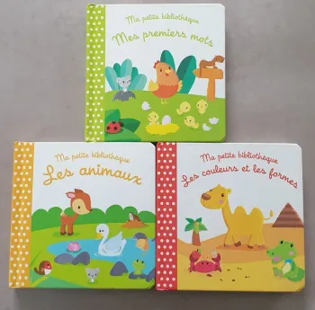 Lot livres ma petite bibliothèque