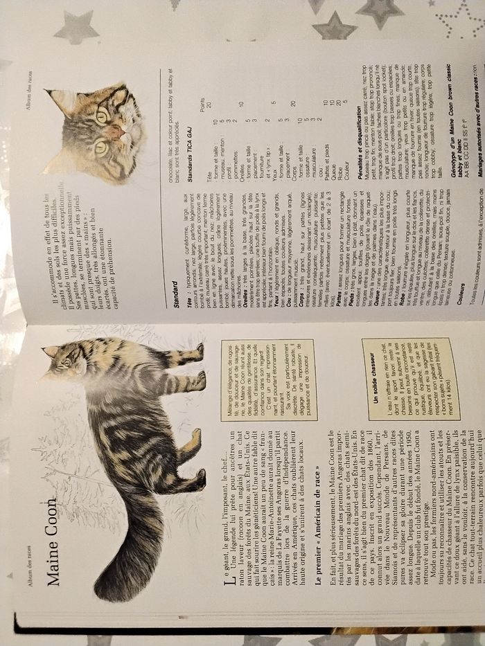 Livre guide des chats - photo numéro 4