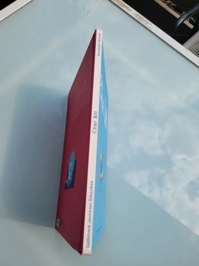 Livre 📭 Cher Bill 📮 Éditions Gallimard Jeunesse Giboulées - photo numéro 9