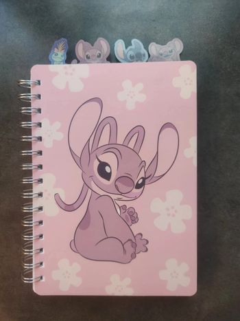 Cahier Stitch et Angel