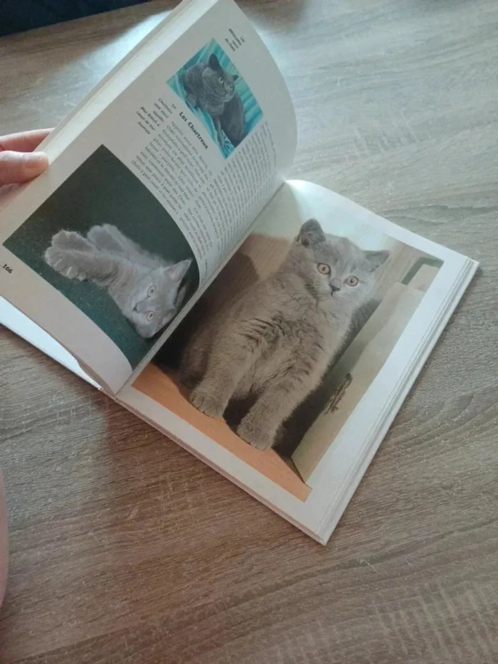 Livre " les chats , ces compagnons de jeu aux pattes de velours " - photo numéro 9