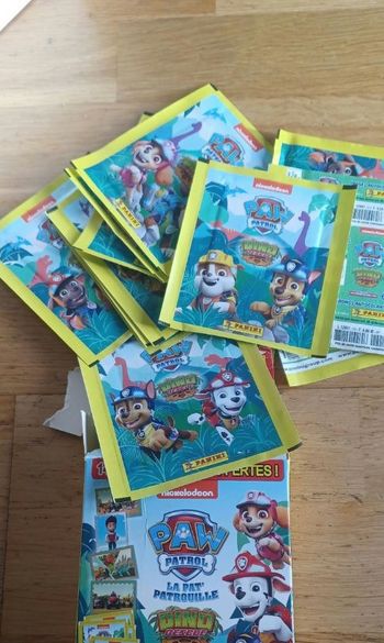 Lot pochettes Pat Patrouille (70 cartes)