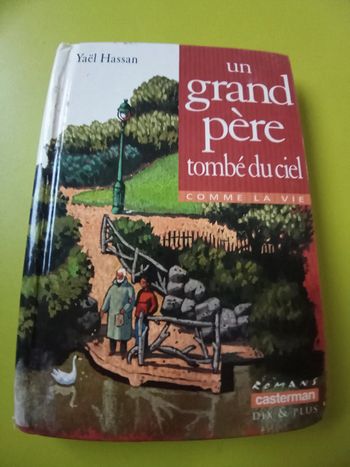 Livre un grand père tombé du ciel